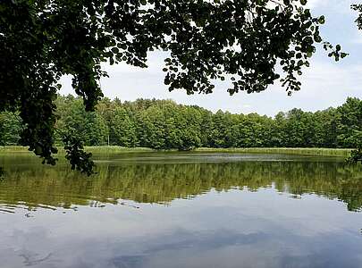 Tütschensee