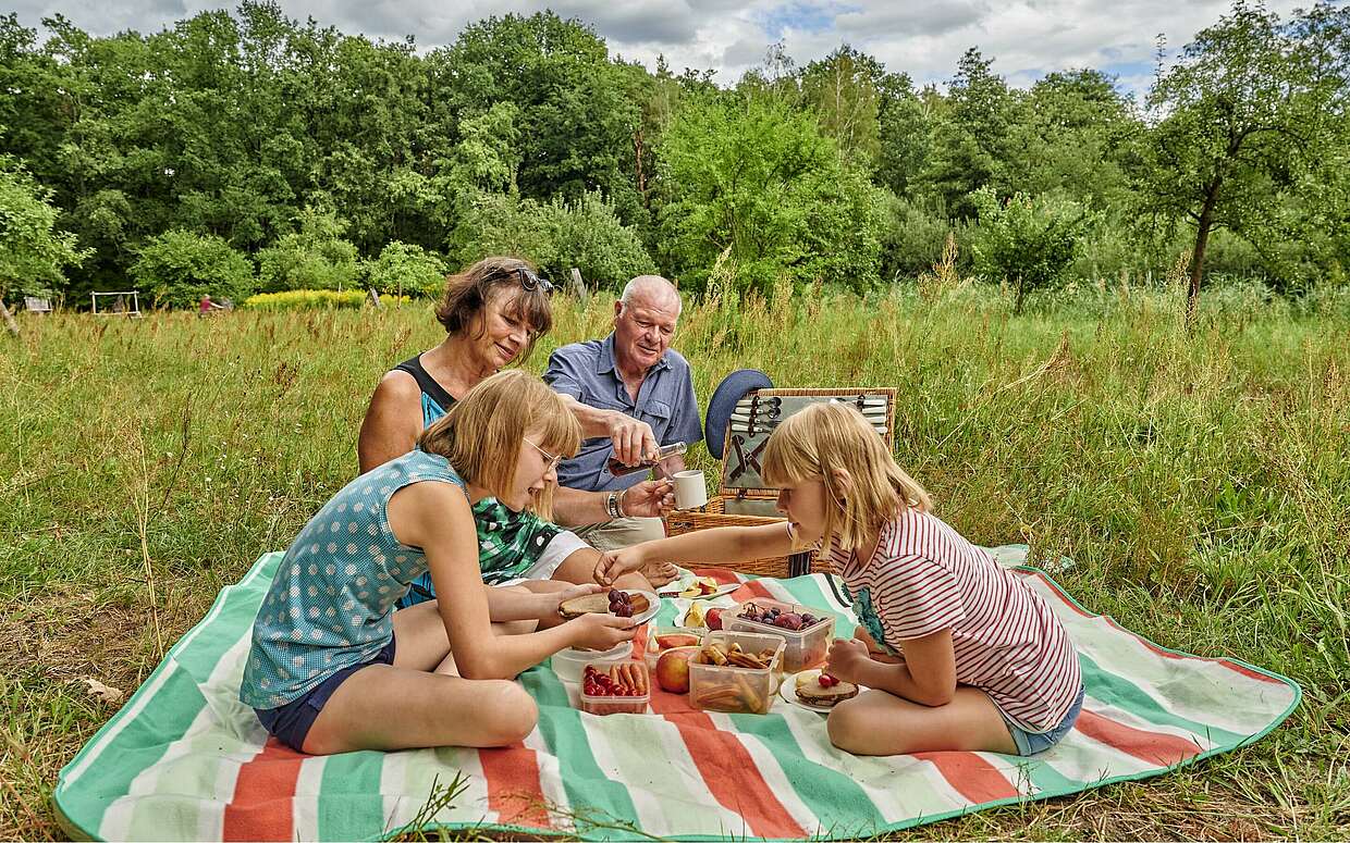 Picknick auf der Streuobstwiese