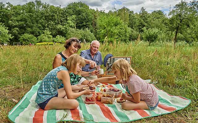 Picknick auf der Streuobstwiese