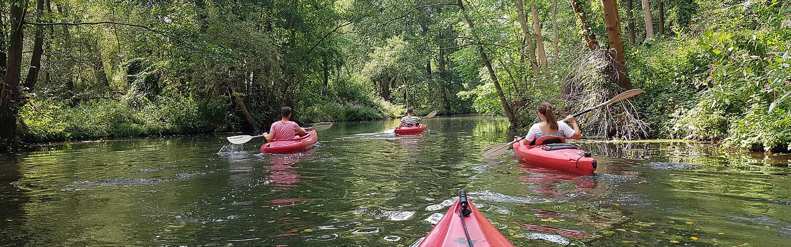 Mit dem Kajak unterwegs im Spreewald,
        
    

        Foto: TMB-Fotoarchiv/Katrin Schreinemachers