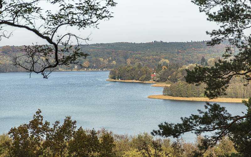 



        
            Blick auf den Schermützelsee bei Buckow,
        
    

        Foto: TMB-Fotoarchiv/Steffen Lehmann
    