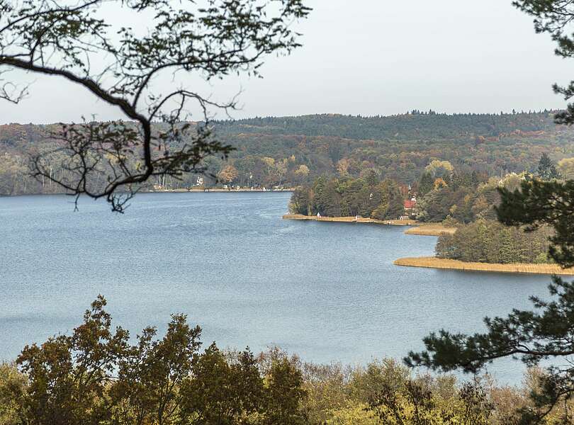 Blick auf den Schermützelsee bei Buckow