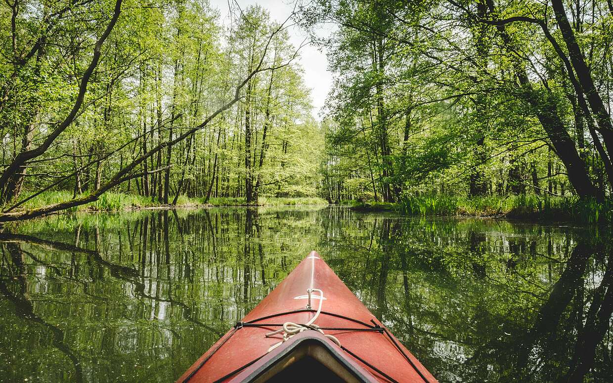 Kanutour im Unterspreewald