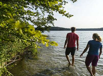 Zwei Wanderer am Ufer des Stechlinsees