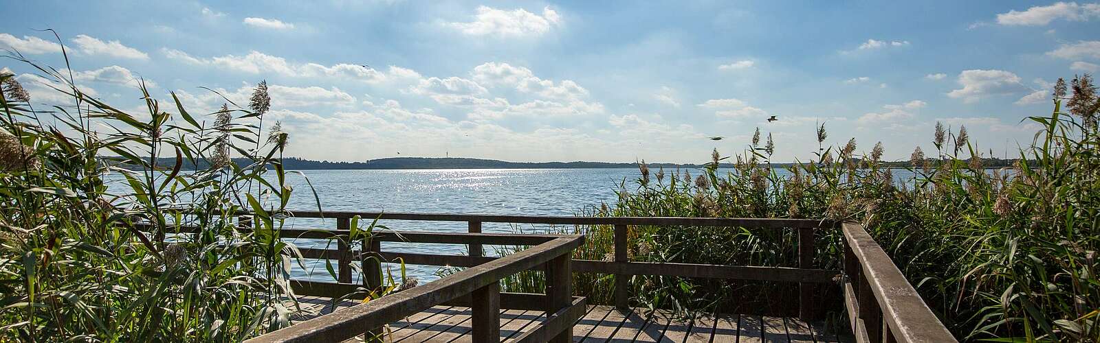 Blankensee,
        
    

        Foto: TMB-Fotoarchiv/Steffen Lehmann