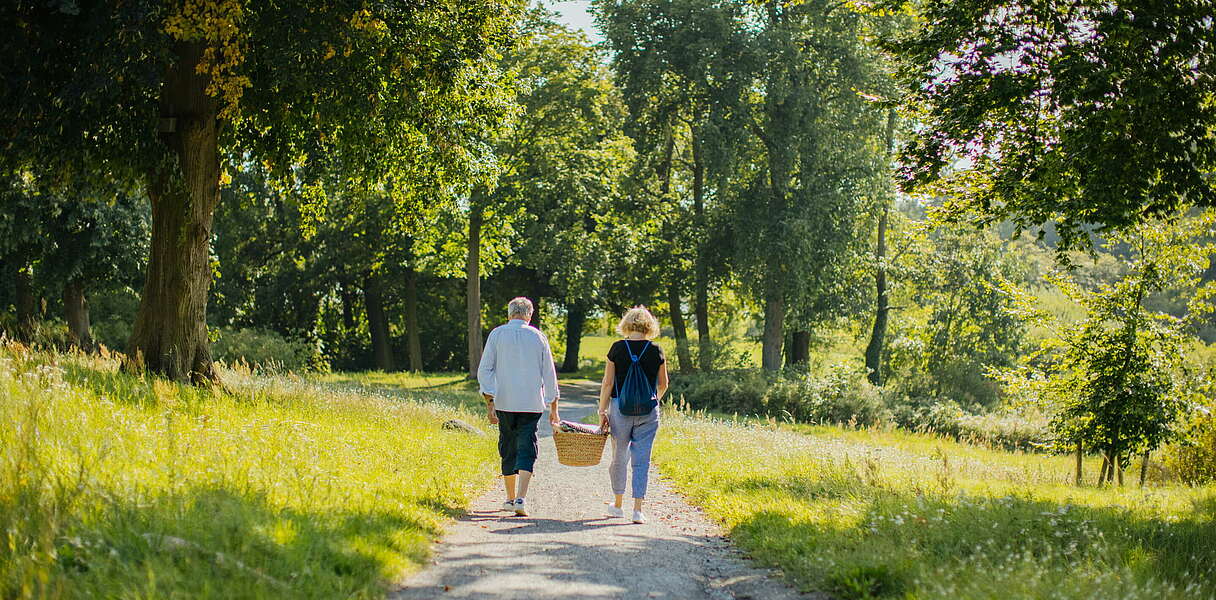 Auf der Suche nach einem Picknickplatz