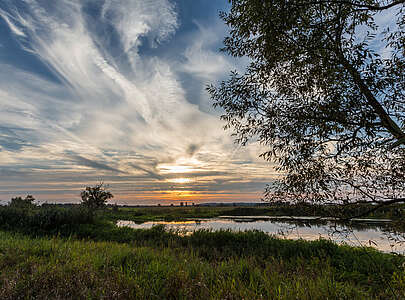 Im Naturpark Westhavelland