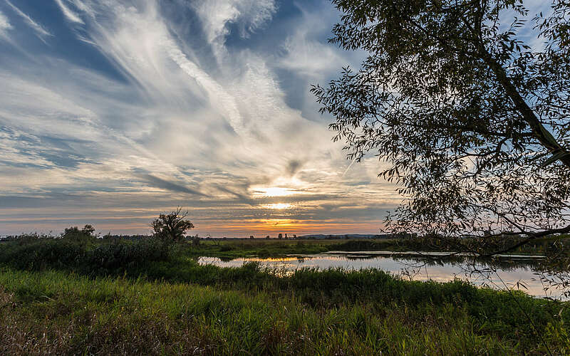 



        
            Im Naturpark Westhavelland,
        
    

        Foto: TMB-Fotoarchiv/Thomas Rathay
    