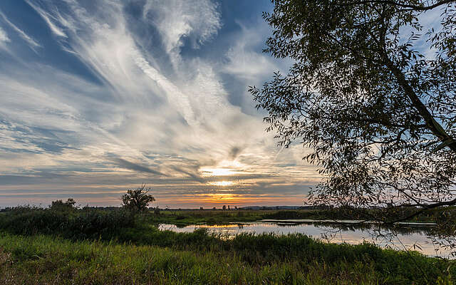 Im Naturpark Westhavelland