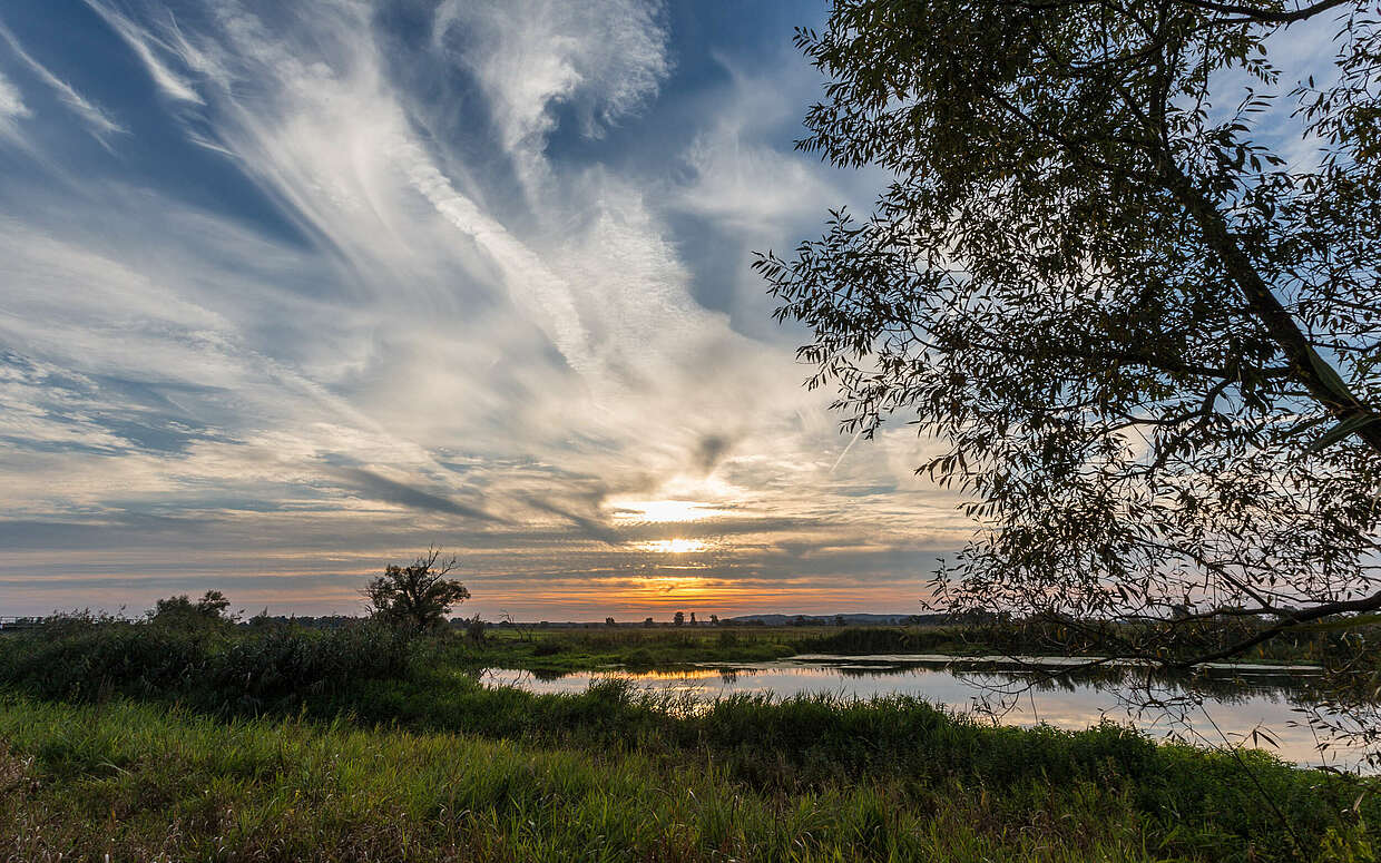 Im Naturpark Westhavelland