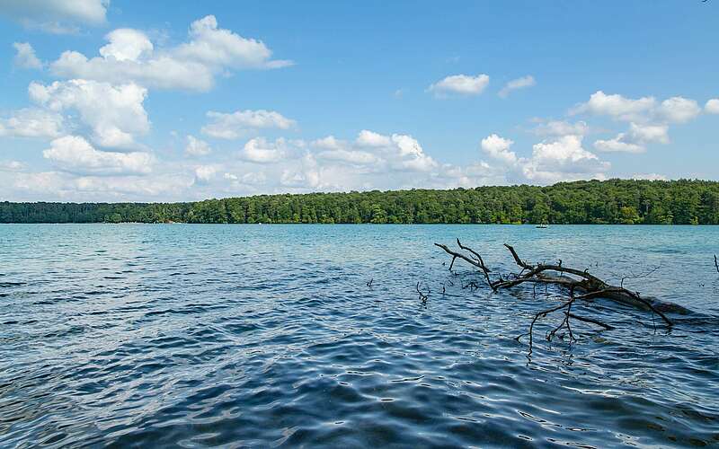 



        
            Blick auf den Stechlinsee,
        
    

        Foto: TMB-Fotoarchiv/Steffen Lehmann
    