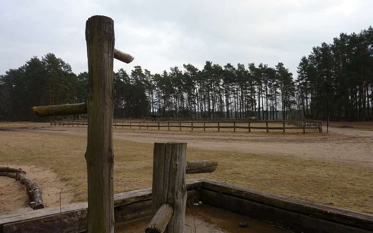 Dämmerung im Park