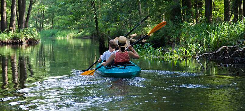 Auf ins Wasserlabyrinth Spreewald!