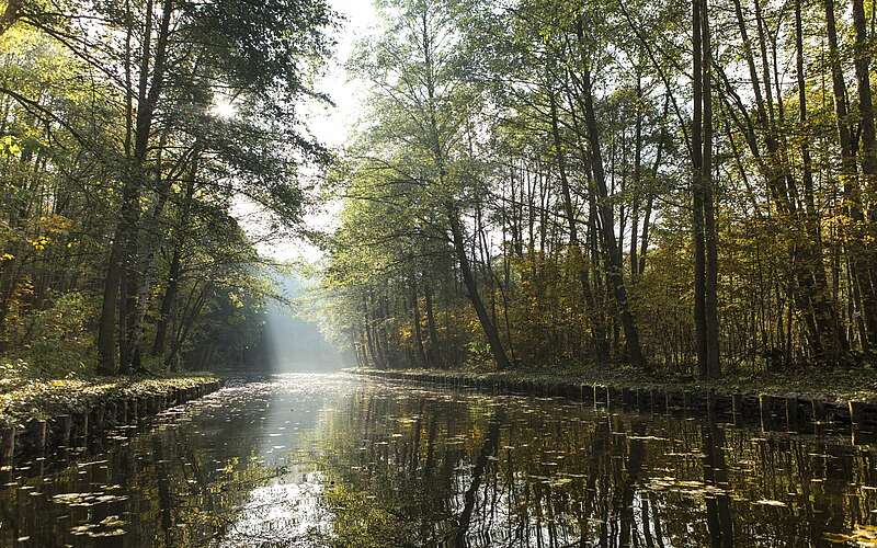 



        
            Kanuwanderung im Ruppiner Seenland,
        
    

        Foto: TMB-Fotoarchiv/Steffen Lehmann
    