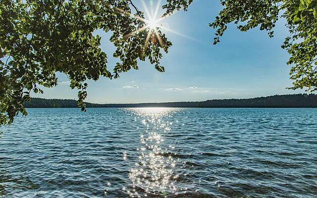 Stechlinsee