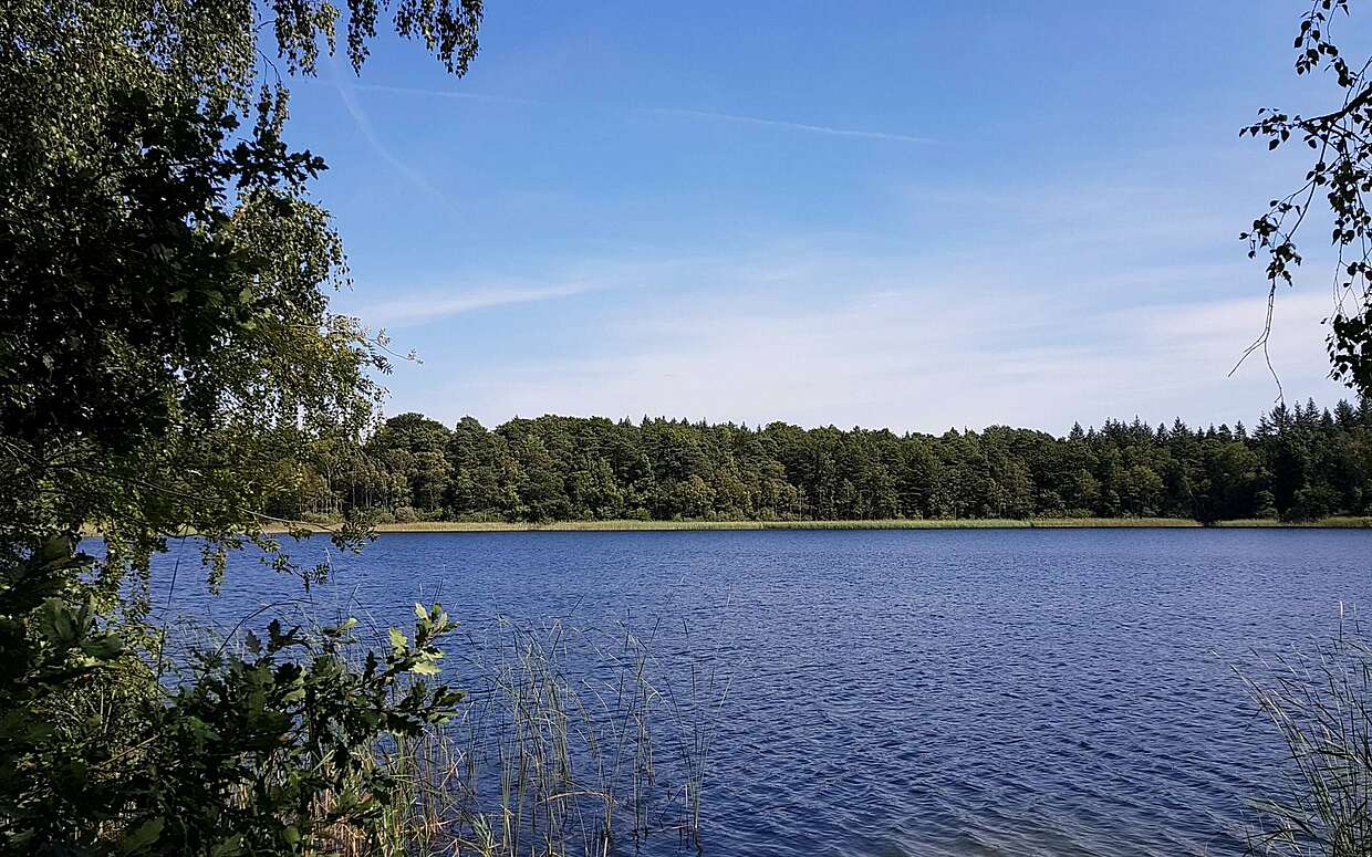 Bukowsee im Naturpark Barnim