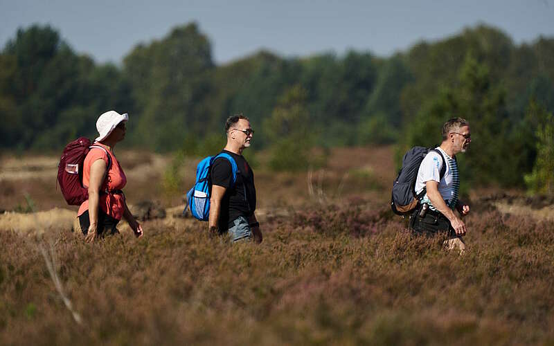 



        
            Fontane-Wandermarathon 2023,
        
    

        Foto: Tourismusverband Ruppiner Seenland e.V./Thomas Janowitz
    