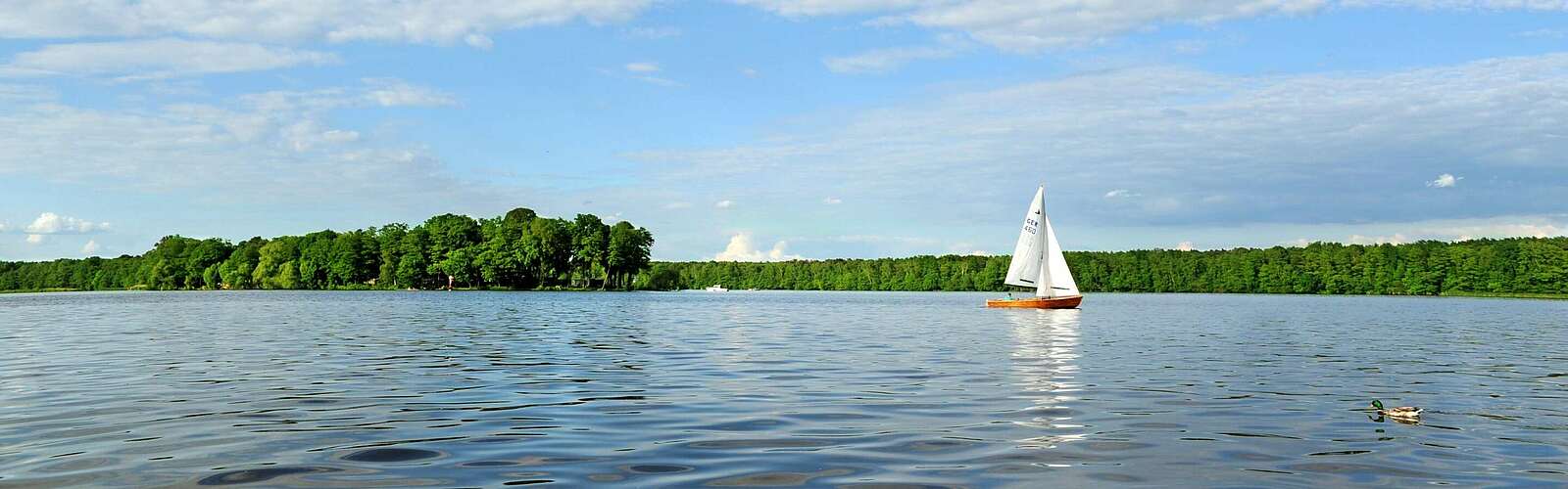 Segeln im Dahme-Seenland,
        
    

        Foto: TMB-Fotoarchiv/Christin Drühl