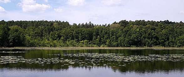 Wandern im Naturpark Barnim