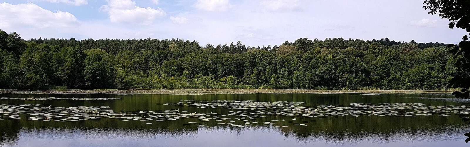 Strehlesee im Naturpark Barnim,
        
    

        Foto: TMB-Fotoarchiv/Frank Meyer