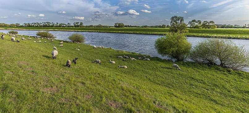 Potsdam und Flusslandschaften Havel und Elbe in 5 Tagen