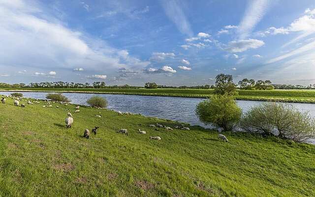 An der Elbe bei Rühstädt