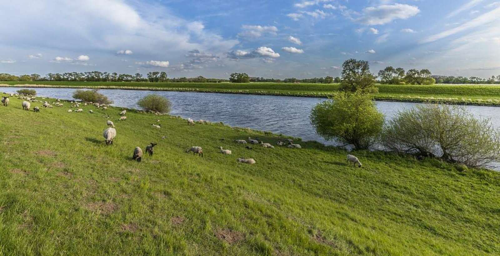An der Elbe bei Rühstädt,
        
    

        Foto: TMB-Fotoarchiv/Steffen Lehmann
