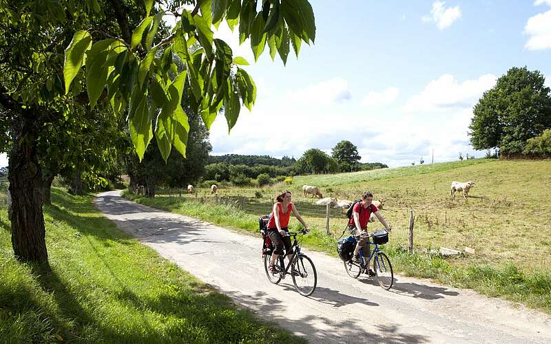 



        
            Radler in der Uckermark,
        
    

        Foto: TMB-Fotoarchiv/TV Lychen/Paul Hahn
    