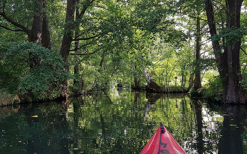 



        
            Mit dem Kajak unterwegs im Spreewald,
        
    

        Foto: TMB-Fotoarchiv/Katrin Schreinemachers
    