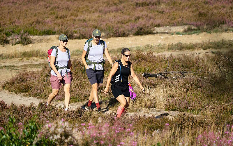 



        
            Fontane-Wandermarathon 2023,
        
    

        Foto: Tourismusverband Ruppiner Seenland e.V./Thomas Janowitz
    