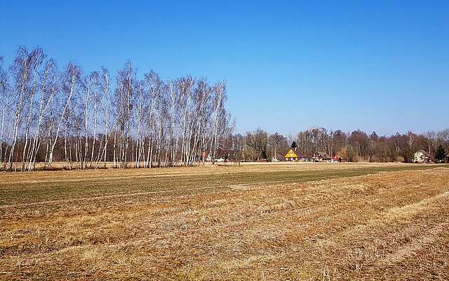 Spreewald im Winter