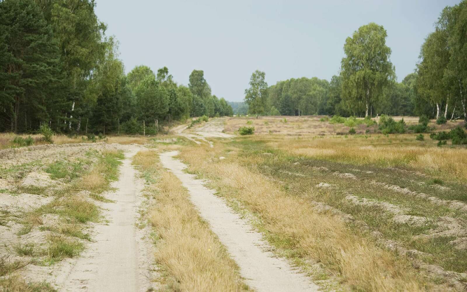 Sielmanns Naturlandschaft Kyritz-Ruppiner Heide