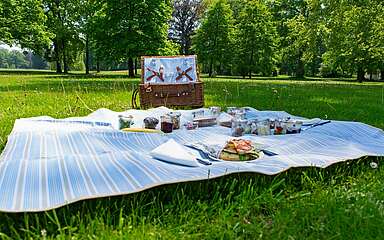 Picknick im Park Schloss Neuhardenberg