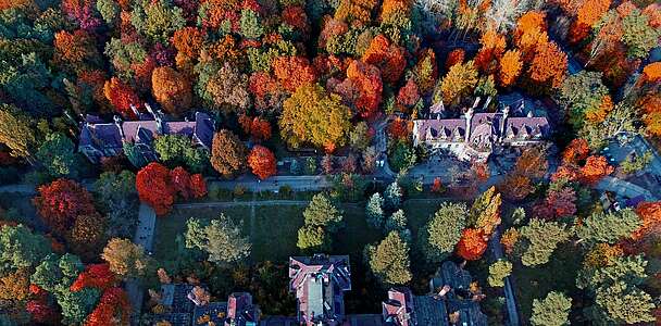 Beelitzer Heilstätten mit Herbstwald