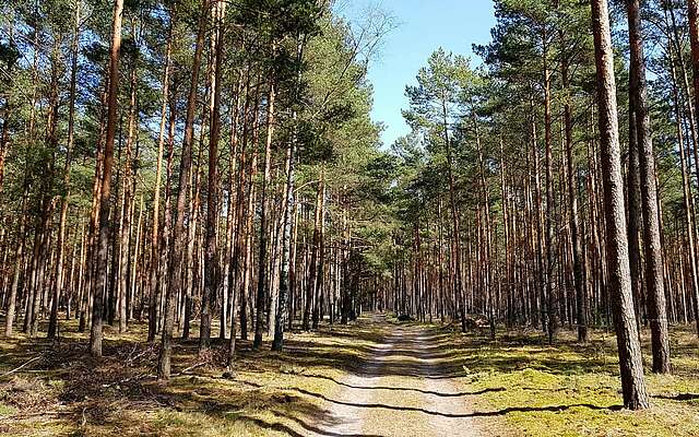 Fontanewanderweg im Dahme-Seenland