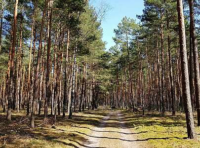 Fontanewanderweg im Dahme-Seenland