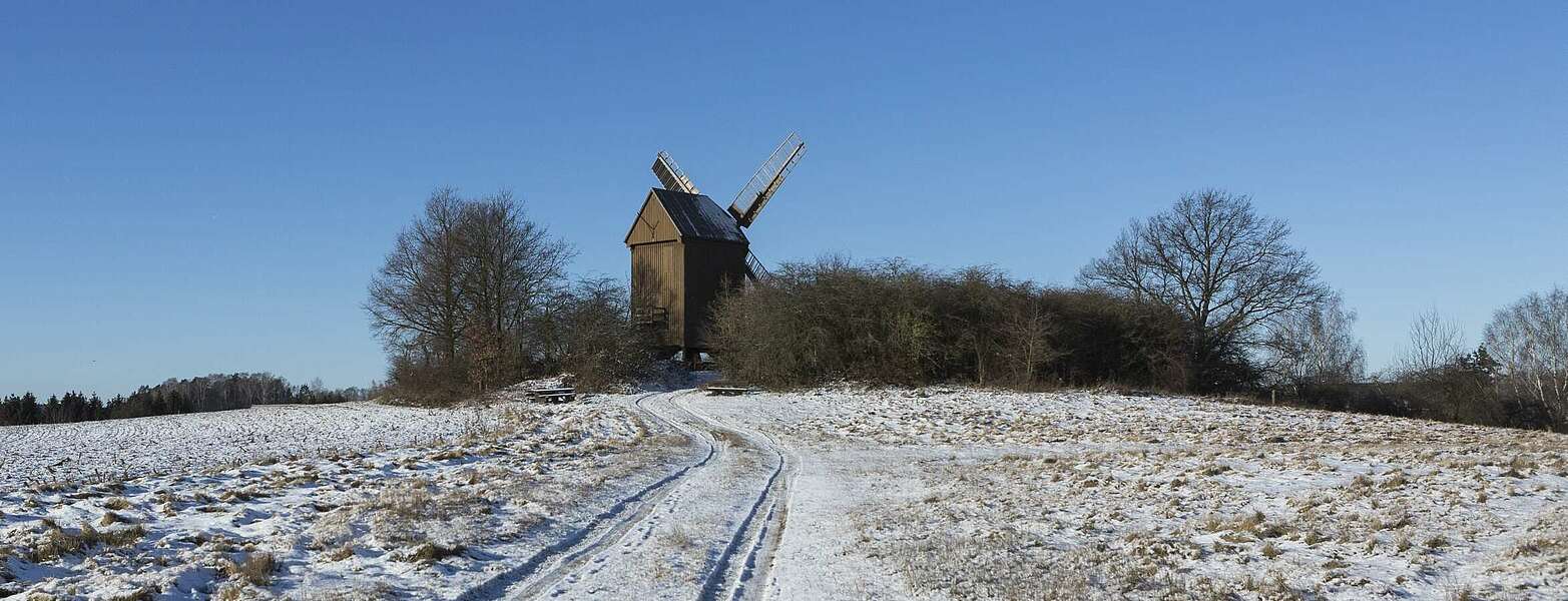Bockwindmühle Borne ,
        
    

        Foto: TMB-Fotoarchiv/Steffen Lehmann