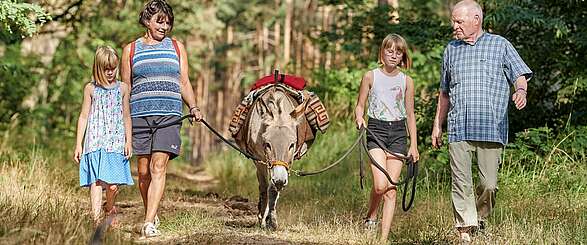 Familienurlaub im Dahme-Seenland mit Eselwanderung