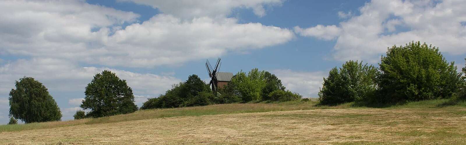 Historische Bockwindmühle Borne im Fläming,
        
    

        Foto: TMB-Fotoarchiv/Steffen Lehmann