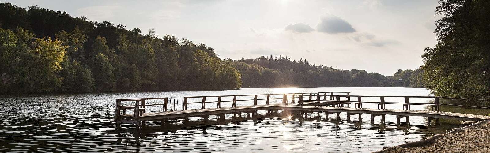 Am Strand des Obersees,
        
    

        Foto: TMB-Fotoarchiv/Steffen Lehmann