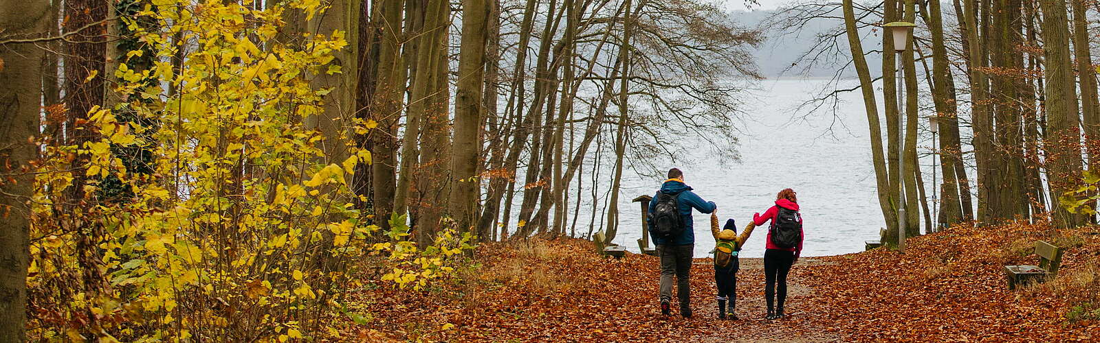 Herbstliche Wanderung mit der Familie,
        
    

        Foto: Tourismusverband Ruppiner Seenland e.V./Julia Nimke