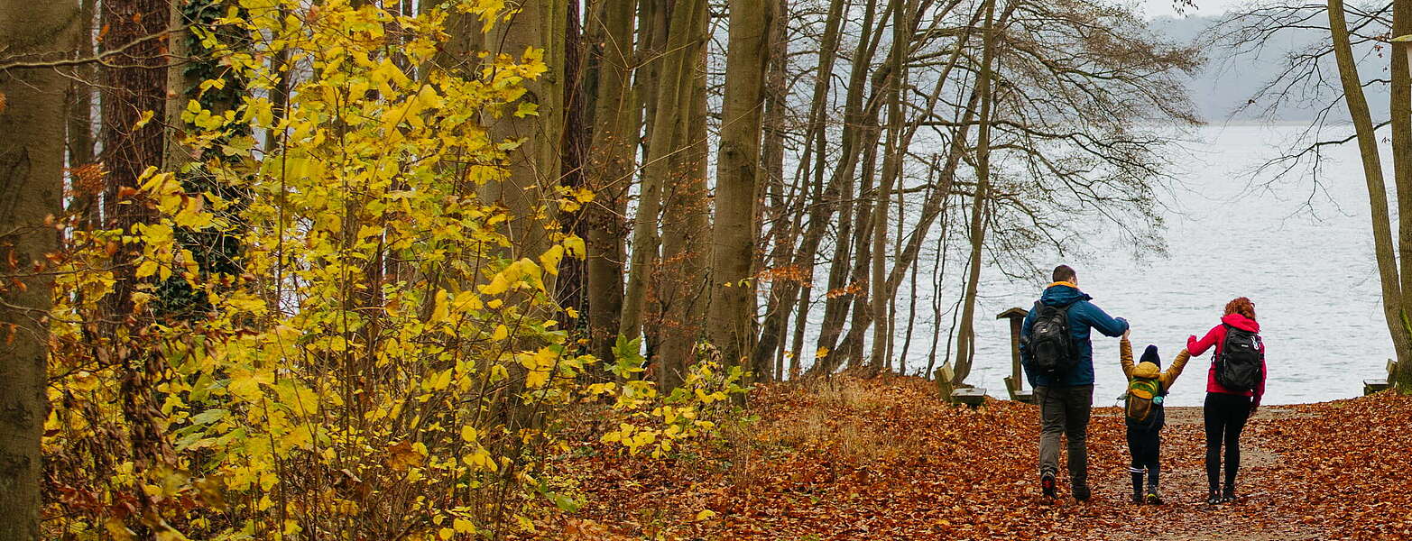 Herbstliche Wanderung mit der Familie,
        
    

        Picture: Tourismusverband Ruppiner Seenland e.V./Julia Nimke