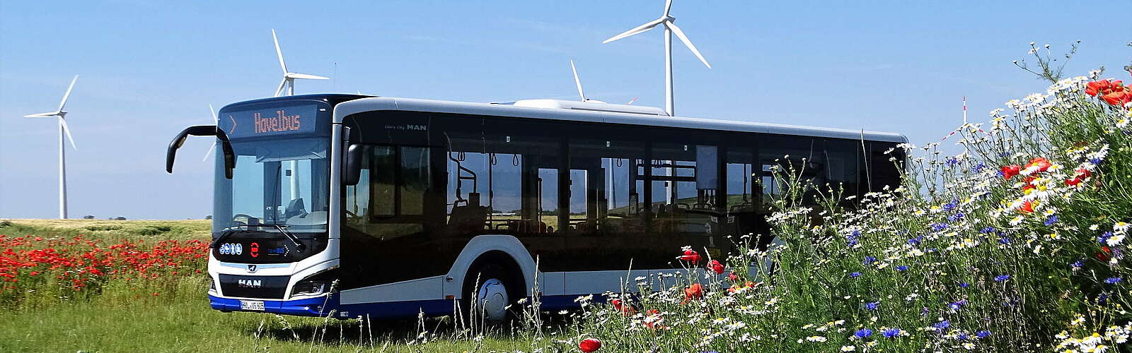 Havelbus in der Natur,
        
    

        Foto: Havelbus Verkehrsgesellschaft mbH/Silke Van Ballaer