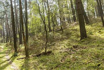 Naturpark Hoher Fläming