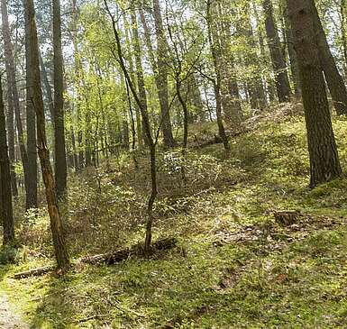 Naturpark Hoher Fläming