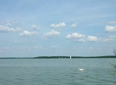 Blick auf den Schwielochsee