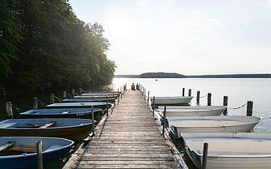 Bootssteg am Stechlinsee