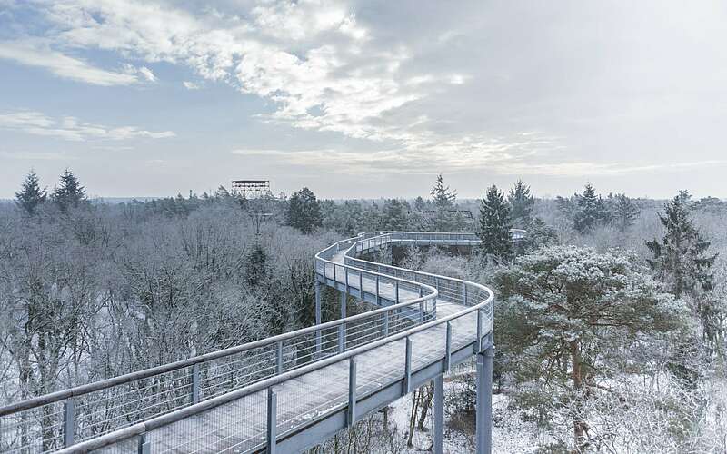 



        
            Baumkronenpfad im Winter,
        
    

        Foto: TMB-Fotoarchiv/Steffen Lehmann
    
