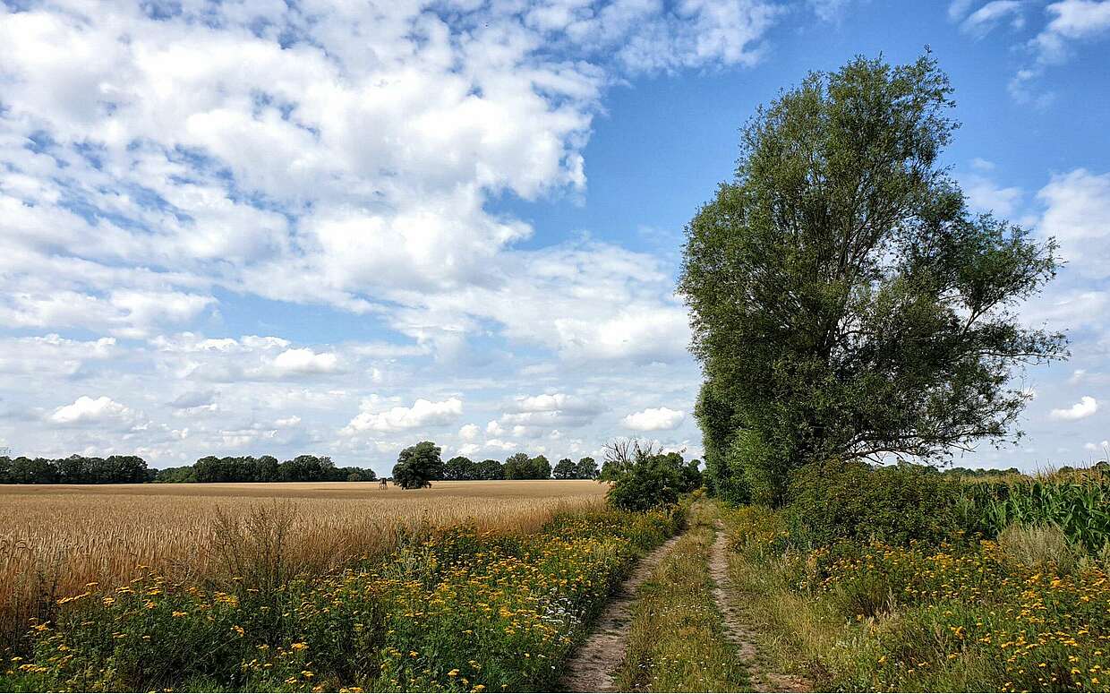 Annenpfad in der Prignitz