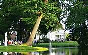 Brandenburgische Sommerkonzerte